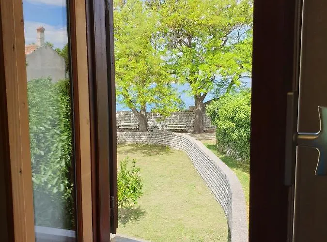 Stella Apsyrtides オソル